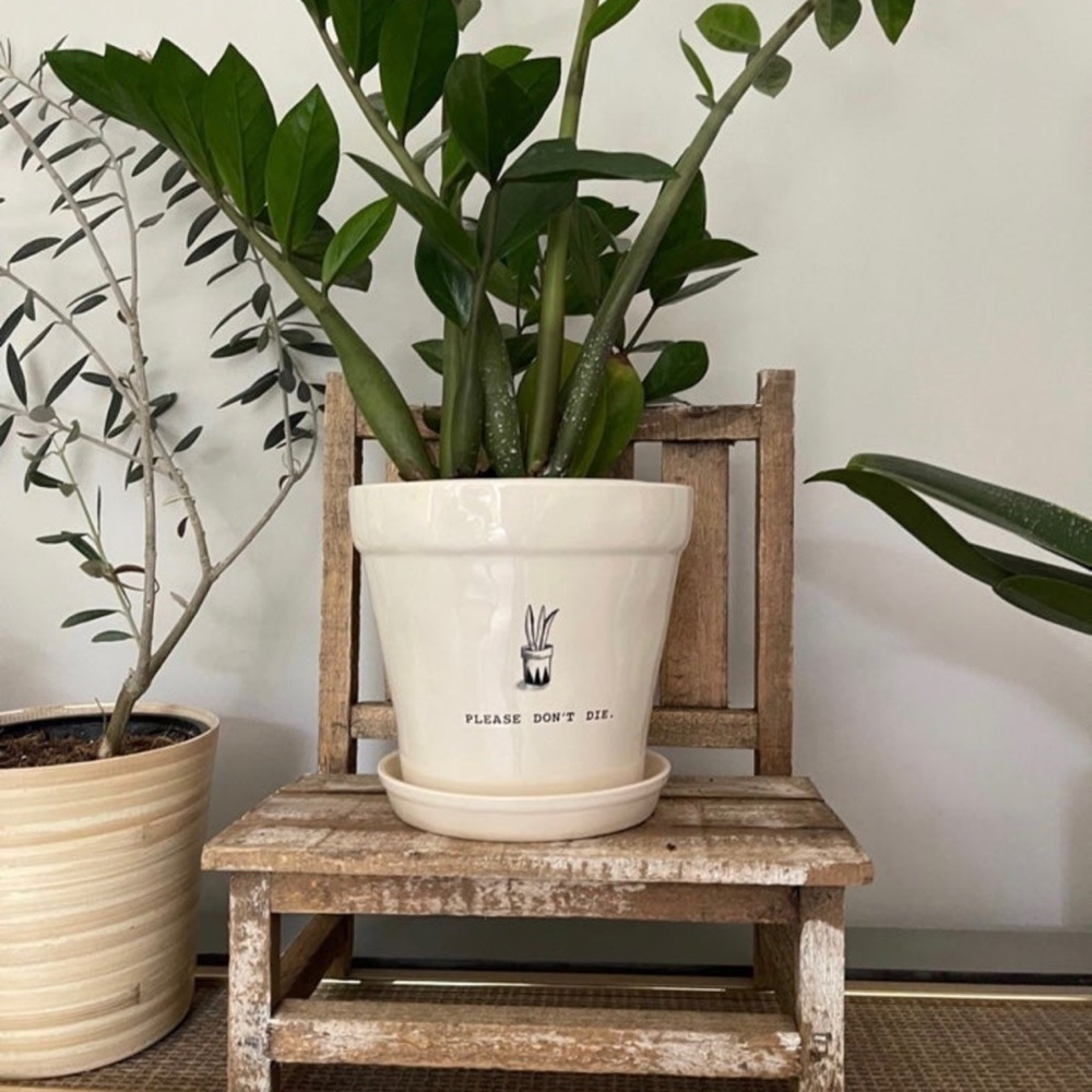 Please dont die Rae Dunn planter